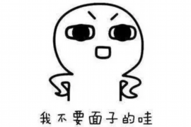 秦淮债务清欠服务