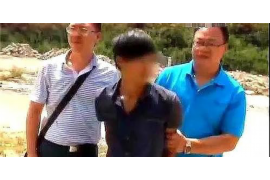 秦淮融资清欠服务